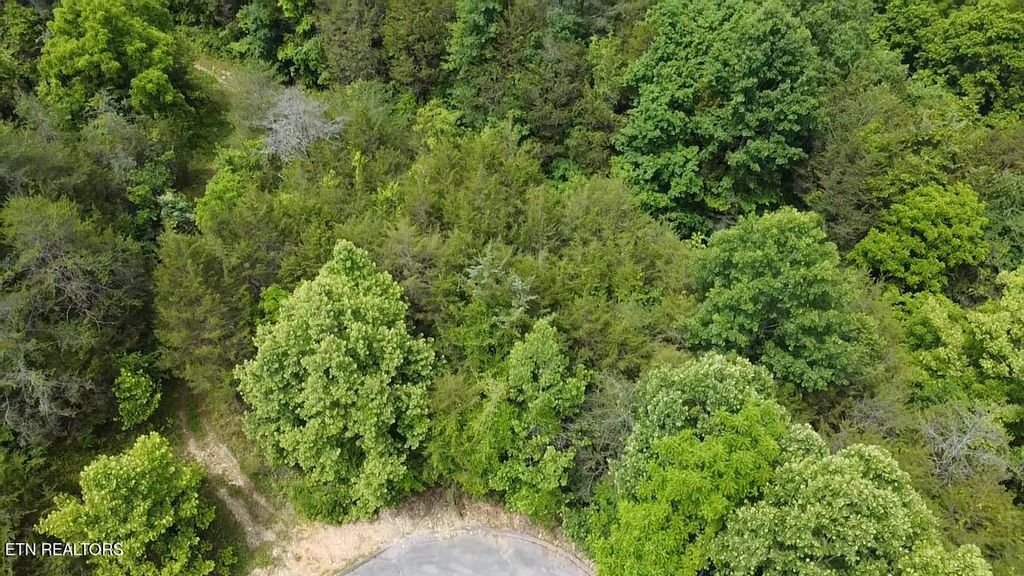 Photo of 287 Par Place, Tazewell, TN 37879 (MLS # 1264413)