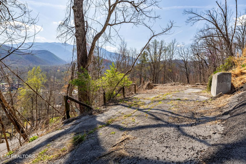 Photo of 865 Highland Rd, Gatlinburg, TN 37738 (MLS # 1295211)