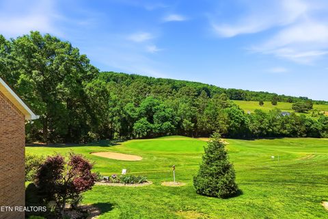 Tiny photo for 799 Constitution Drive, Jefferson City, TN 37760 (MLS # 1340710)