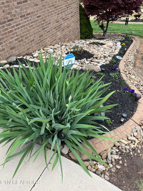 Tiny photo for 799 Constitution Drive, Jefferson City, TN 37760 (MLS # 1340710)