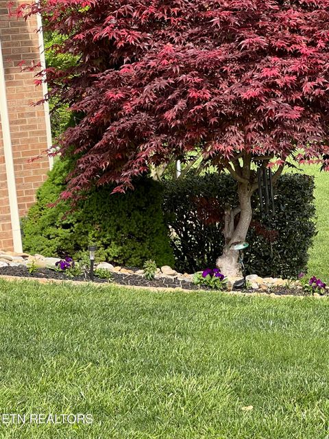 Tiny photo for 799 Constitution Drive, Jefferson City, TN 37760 (MLS # 1340710)