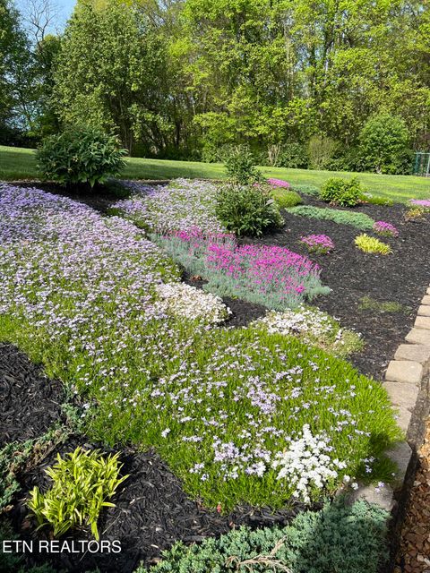 Tiny photo for 799 Constitution Drive, Jefferson City, TN 37760 (MLS # 1340710)