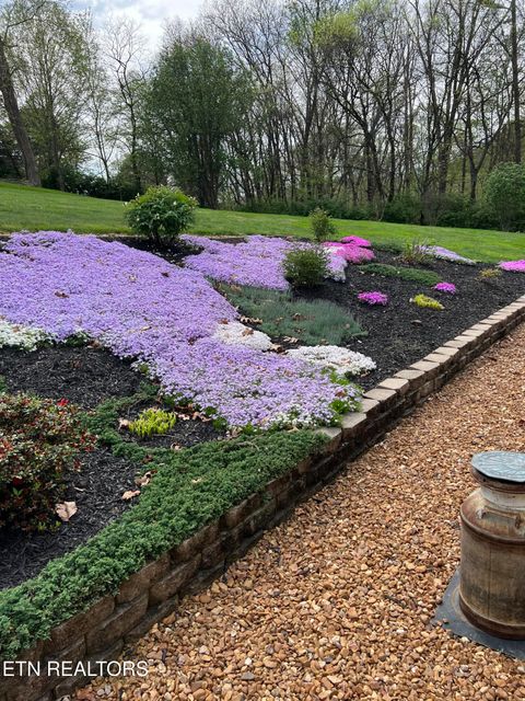 Tiny photo for 799 Constitution Drive, Jefferson City, TN 37760 (MLS # 1340710)