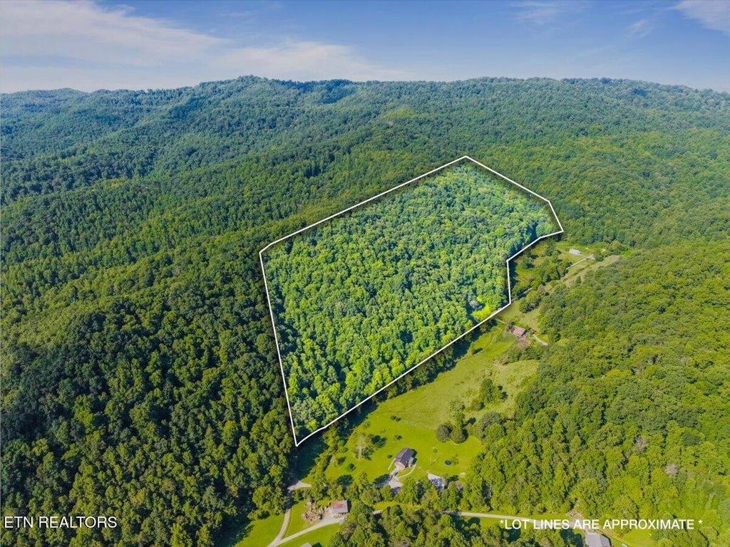 Photo of 259 Walden Hollow Lane, LaFollette, TN 37766 (MLS # 1351962)