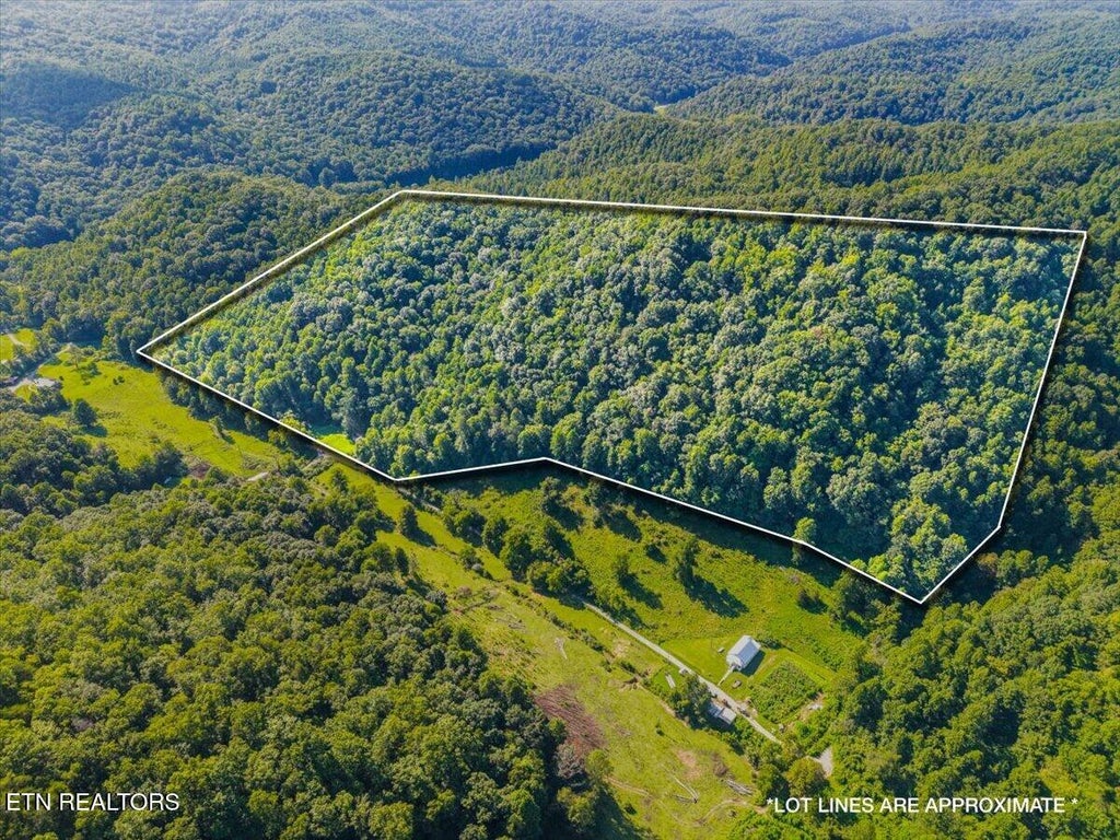 Photo of 259 Walden Hollow Lane, LaFollette, TN 37766 (MLS # 1351962)