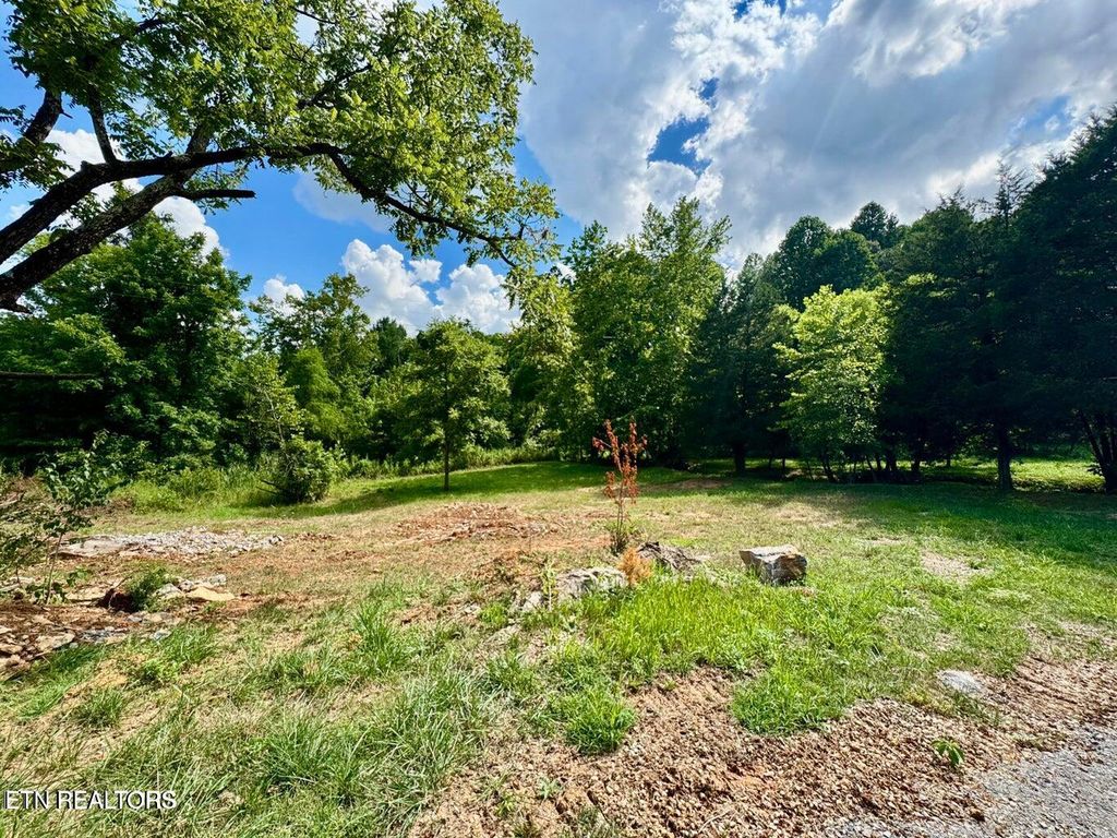 Photo of 3643 Bryan Rd Rd, Kodak, TN 37764 (MLS # 1315427)