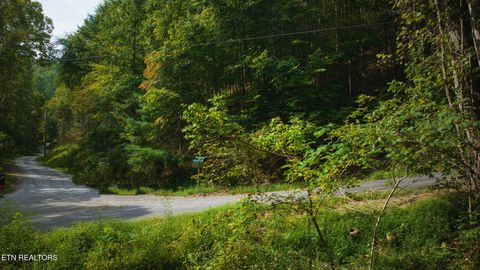 Tiny photo for Lot 10 Stepping Stone Drive, Sevierville, TN 37862 (MLS # 1328866)