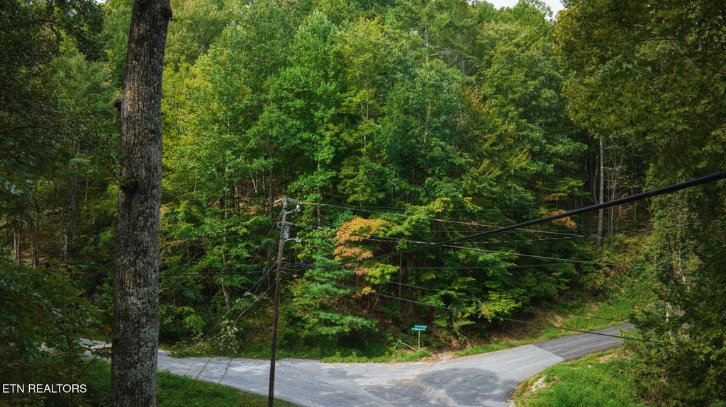 Photo of Lot 10 Stepping Stone Drive, Sevierville, TN 37862 (MLS # 1328866)