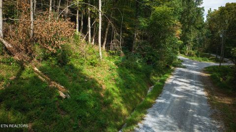 Tiny photo for Lot 10 Stepping Stone Drive, Sevierville, TN 37862 (MLS # 1328866)