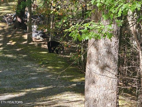 Tiny photo for Lot 10 Stepping Stone Drive, Sevierville, TN 37862 (MLS # 1328866)