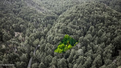 Tiny photo for Lot 10 Stepping Stone Drive, Sevierville, TN 37862 (MLS # 1328866)