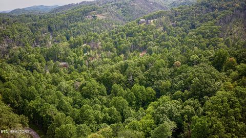 Tiny photo for Lot 10 Stepping Stone Drive, Sevierville, TN 37862 (MLS # 1328866)