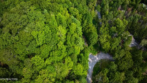 Tiny photo for Lot 10 Stepping Stone Drive, Sevierville, TN 37862 (MLS # 1328866)