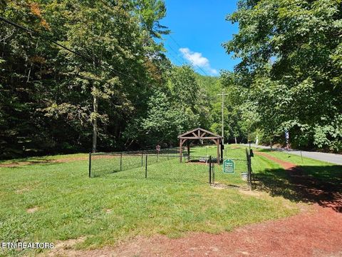 Tiny photo for Lot 10 Stepping Stone Drive, Sevierville, TN 37862 (MLS # 1328866)