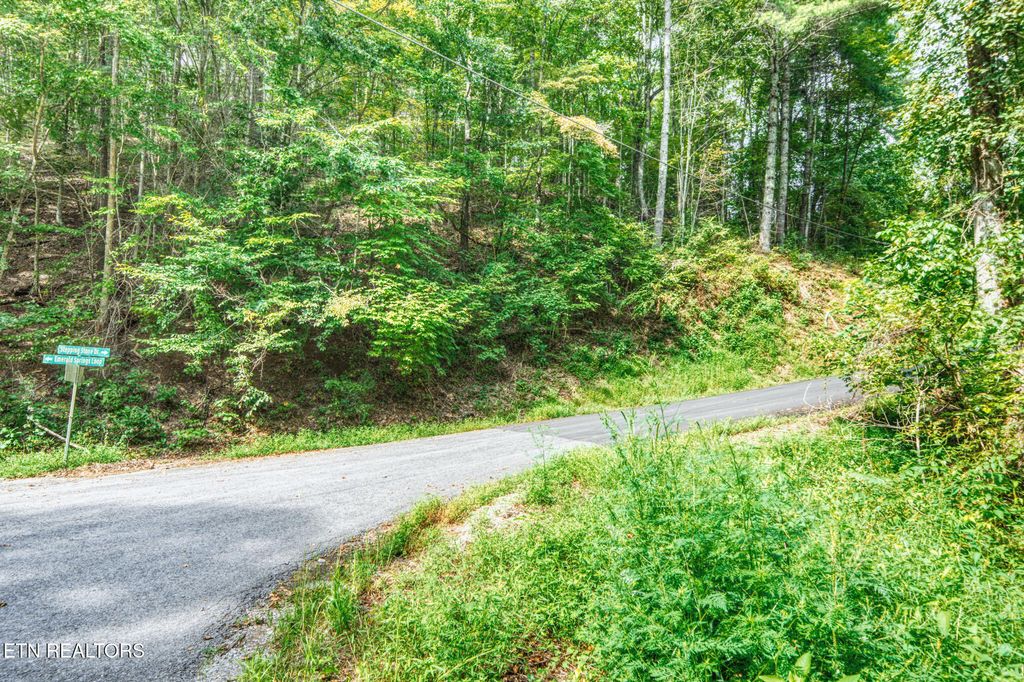 Photo of Lot 10 Stepping Stone Drive, Sevierville, TN 37862 (MLS # 1328866)