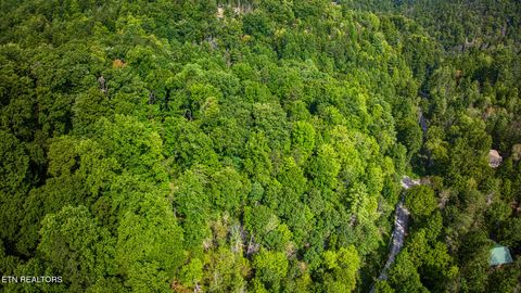 Tiny photo for Lot 10 Stepping Stone Drive, Sevierville, TN 37862 (MLS # 1328866)