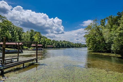 Tiny photo for 6725 State Highway 304, Ten Mile, TN 37880 (MLS # 1338580)