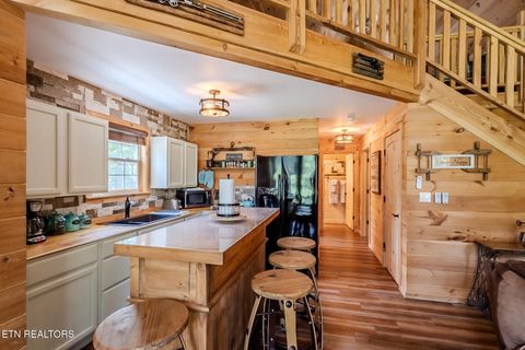 Tiny photo for 6725 State Highway 304, Ten Mile, TN 37880 (MLS # 1338580)