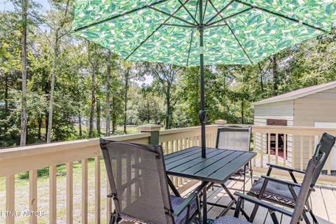 Tiny photo for 6725 State Highway 304, Ten Mile, TN 37880 (MLS # 1338580)