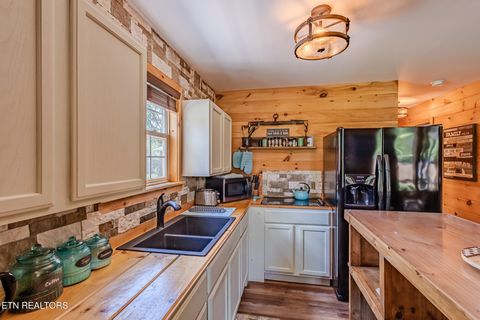 Tiny photo for 6725 State Highway 304, Ten Mile, TN 37880 (MLS # 1338580)