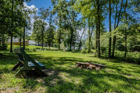 Tiny photo for 6725 State Highway 304, Ten Mile, TN 37880 (MLS # 1338580)