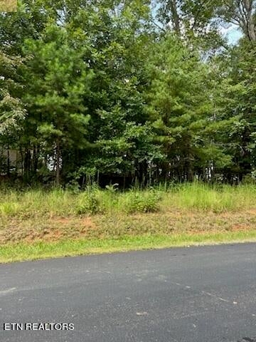 Photo of Atsila Tr, Vonore, TN 37885 (MLS # 1239593)