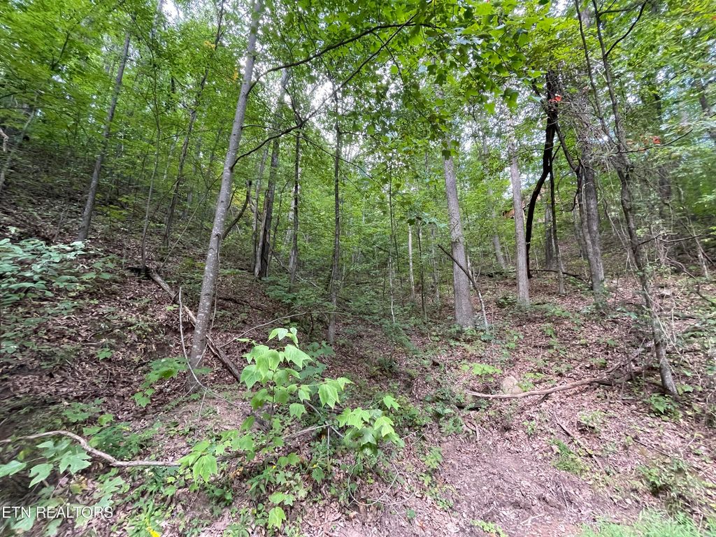 Photo of 1127 Clingmans View, Sevierville, TN 37876 (MLS # 1240702)