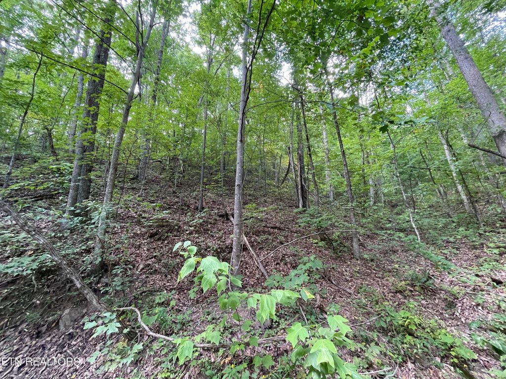 Photo of 1127 Clingmans View, Sevierville, TN 37876 (MLS # 1240702)