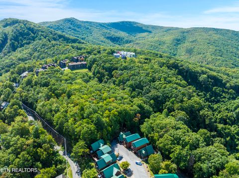 Tiny photo for 1251 Bear Cub Way, Gatlinburg, TN 37738 (MLS # 1298622)
