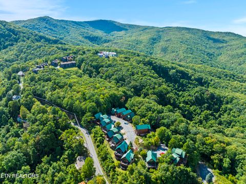Tiny photo for 1251 Bear Cub Way, Gatlinburg, TN 37738 (MLS # 1298622)