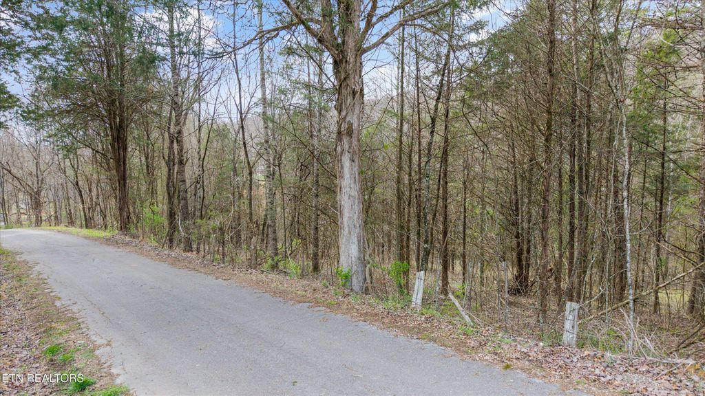 Photo of 0 Lewis Rd, Powell, TN 37849 (MLS # 1333476)