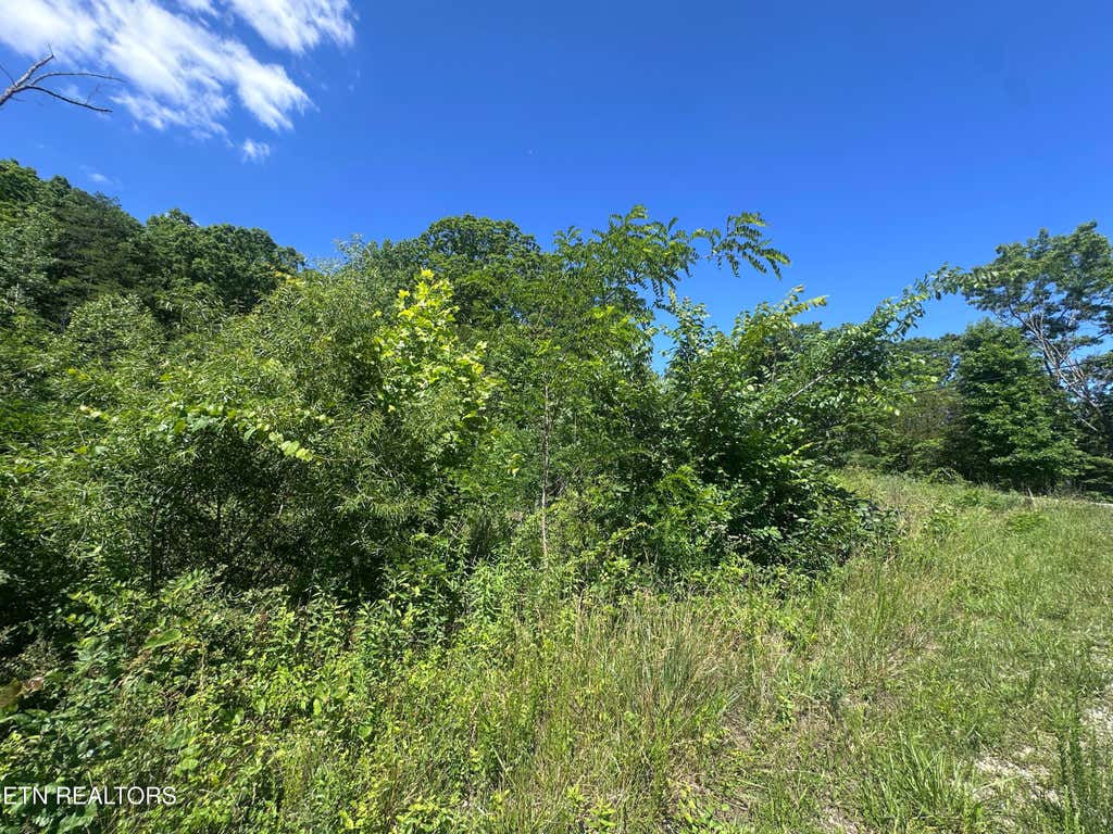 Photo of 1020 Tomahawk Rd, Jamestown, TN 38556 (MLS # 1343302)