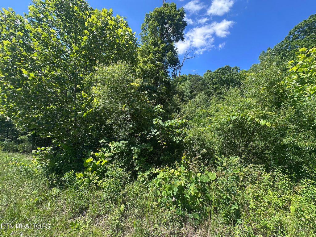 Photo of 1020 Tomahawk Rd, Jamestown, TN 38556 (MLS # 1343302)