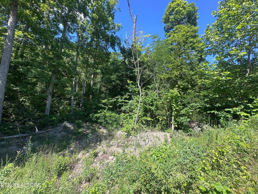 Photo of 1020 Tomahawk Rd, Jamestown, TN 38556 (MLS # 1343302)