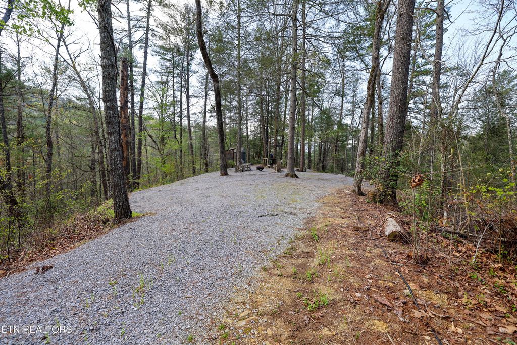 Photo of 1011 Carrs Creek Rd, Townsend, TN 37882 (MLS # 1297970)