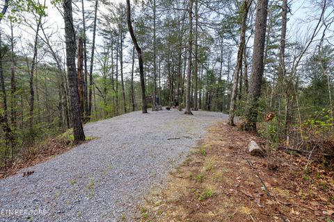 Tiny photo for 1011 Carrs Creek Rd, Townsend, TN 37882 (MLS # 1297970)