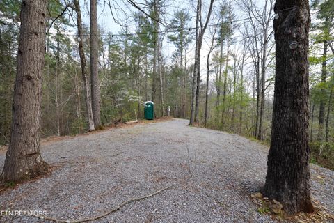 Tiny photo for 1011 Carrs Creek Rd, Townsend, TN 37882 (MLS # 1297970)