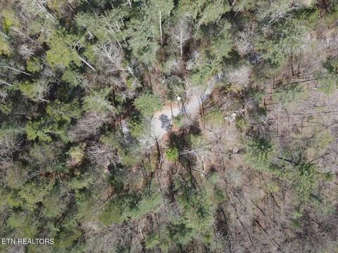 Tiny photo for 1011 Carrs Creek Rd, Townsend, TN 37882 (MLS # 1297970)