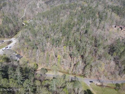 Tiny photo for 1011 Carrs Creek Rd, Townsend, TN 37882 (MLS # 1297970)