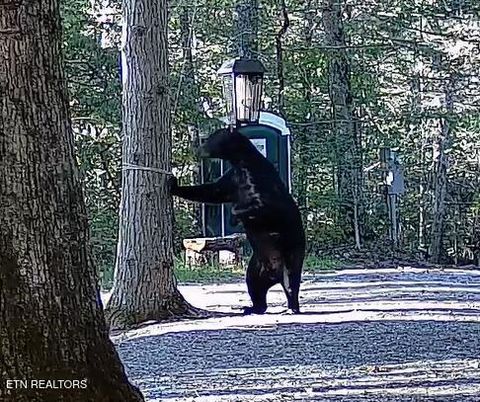 Tiny photo for 1011 Carrs Creek Rd, Townsend, TN 37882 (MLS # 1297970)