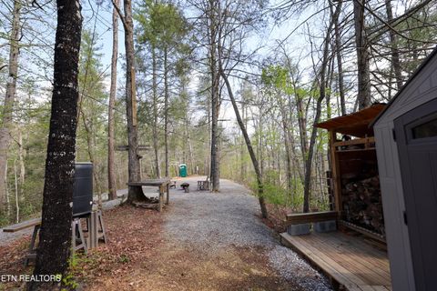 Tiny photo for 1011 Carrs Creek Rd, Townsend, TN 37882 (MLS # 1297970)