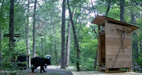 Tiny photo for 1011 Carrs Creek Rd, Townsend, TN 37882 (MLS # 1297970)