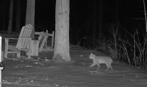 Tiny photo for 1011 Carrs Creek Rd, Townsend, TN 37882 (MLS # 1297970)