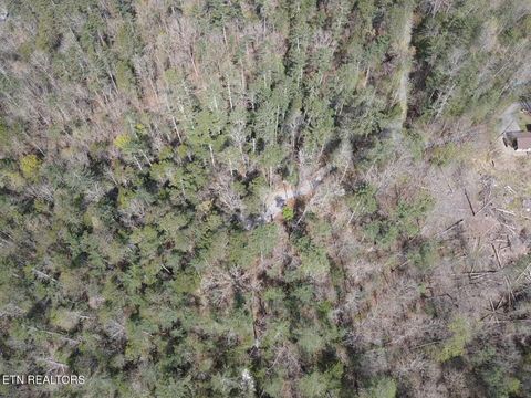 Tiny photo for 1011 Carrs Creek Rd, Townsend, TN 37882 (MLS # 1297970)