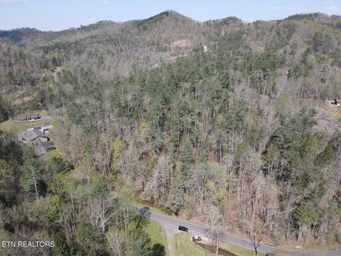 Tiny photo for 1011 Carrs Creek Rd, Townsend, TN 37882 (MLS # 1297970)