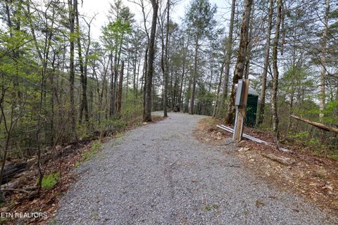 Tiny photo for 1011 Carrs Creek Rd, Townsend, TN 37882 (MLS # 1297970)