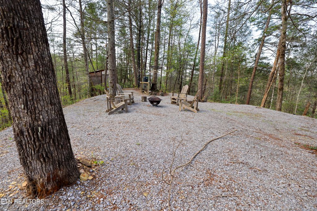Photo of 1011 Carrs Creek Rd, Townsend, TN 37882 (MLS # 1297970)