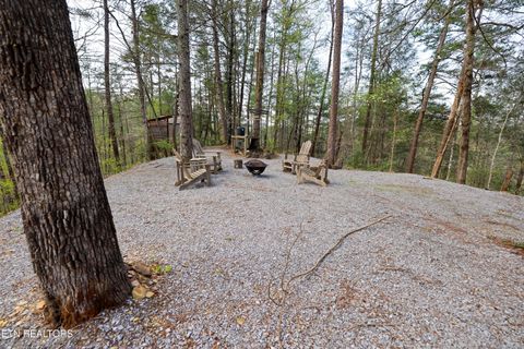 Tiny photo for 1011 Carrs Creek Rd, Townsend, TN 37882 (MLS # 1297970)