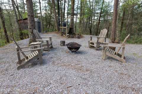 Tiny photo for 1011 Carrs Creek Rd, Townsend, TN 37882 (MLS # 1297970)