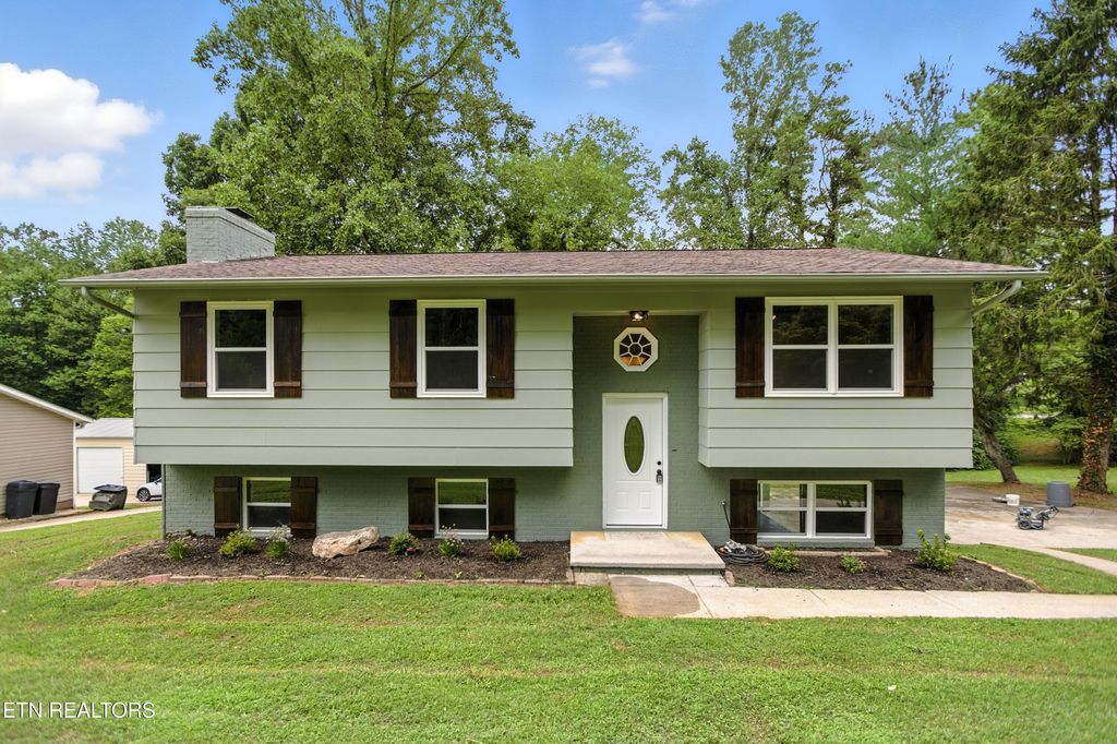 Photo of 1545 Johnathan Drive, Louisville, TN 37777 (MLS # 1311438)